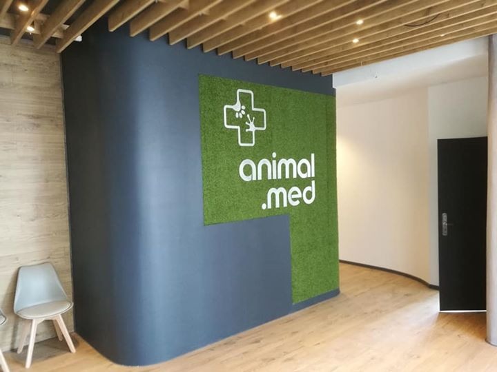 Wnętrze przychodni weterynaryjnej z logo Animal.med na ścianie wyłożonej sztuczną trawą, widoczne drewniane lamele na suficie i krzesło dla pacjentów.