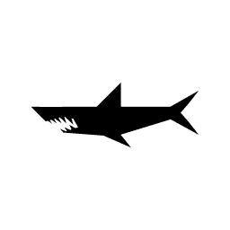 Piranha - Usługi Programowania Elbląg