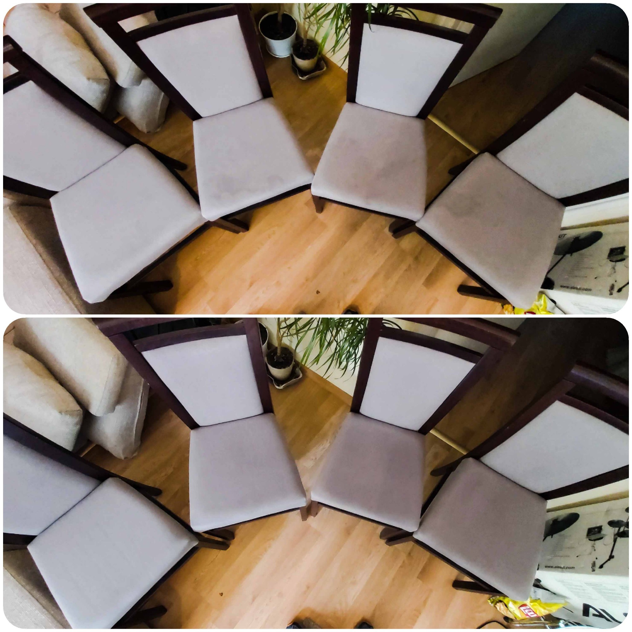 Widok z góry na osiem krzeseł z tapicerowanymi siedziskami w odcieniach szarości, ustawionych w dwóch rzędach po cztery, na parkiecie; w tle widoczna roślina doniczkowa i sofa.