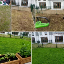 Montaż trawnika: Kolaż zdjęć przedstawia etapy zakładania trawnika, od przygotowania podłoża, przez wałowanie, po finalny efekt z bujną zielenią, widoczne narzędzia ogrodnicze i donice z roślinami.