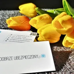 Stos wizytówek z logo firmy ubezpieczeniowej, ułożony obok bukietu żółtych tulipanów na teksturowanym tle.
