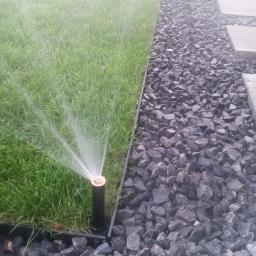 Wycinka drzew Luboń 2