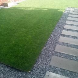 Wycinka drzew Luboń 1