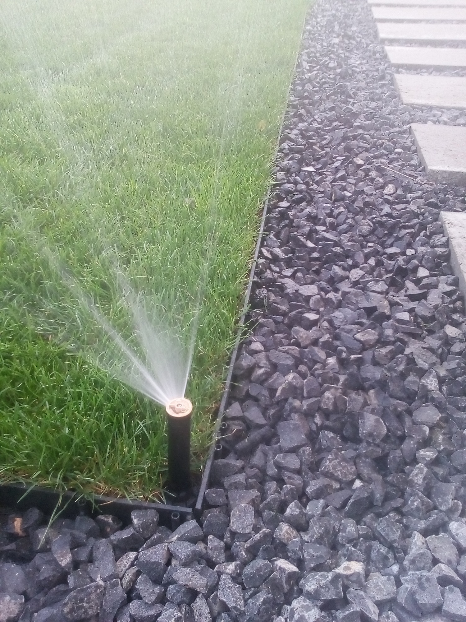 Automatyczny system nawadniania trawnika zraszający trawę obok ścieżki z czarnego grysu i betonowych płyt.