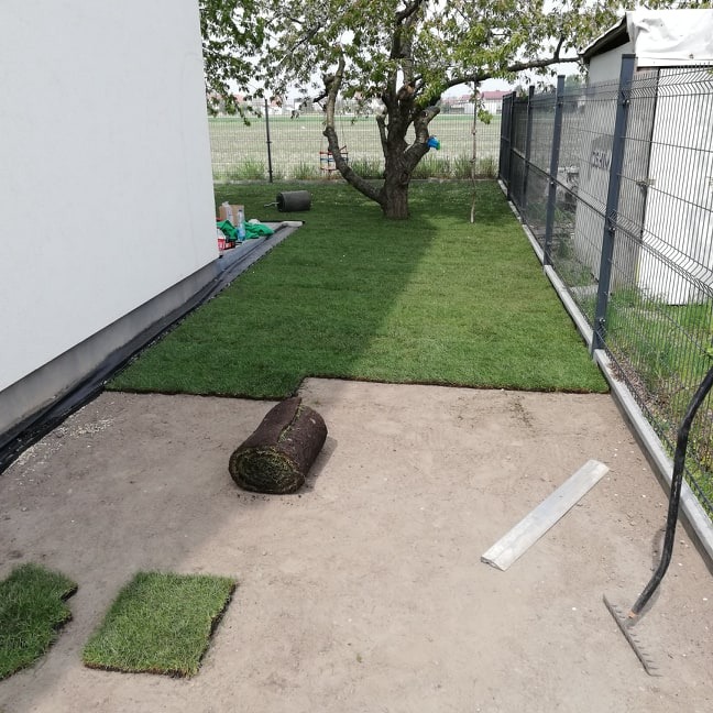 Układanie trawy z rolki w ogrodzie przydomowym, widoczny fragment ułożonego trawnika, rolka trawy, narzędzie i ogrodzenie panelowe.