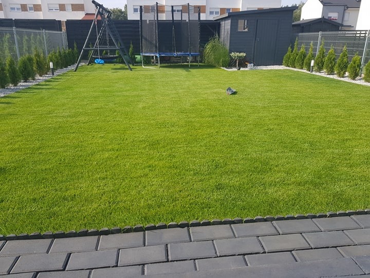 Perfekcyjnie utrzymany trawnik w ogrodzie z trampoliną, huśtawką i szarą drewutnią w tle, obramowany niskimi tujami i szarym brukiem.