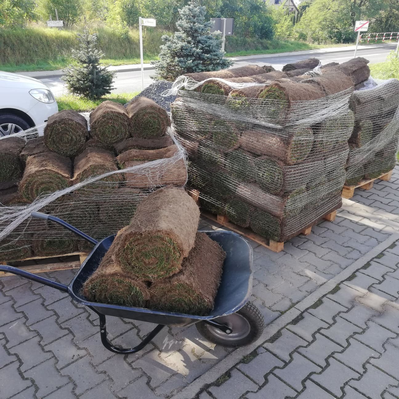 Rolki trawy w wózku i na paletach, przygotowane do transportu w Luboniu, widok z boku na kostce brukowej.