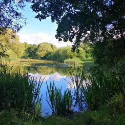 A&S - Układanie Płytek Katowice