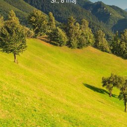 Transport zagraniczny Tarnów 1