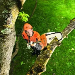 Operator w pomarańczowym kasku i kamizelce tnie gałąź drzewa piłą spalinową marki Stihl, z widocznymi wiórami, na tle zieleni.