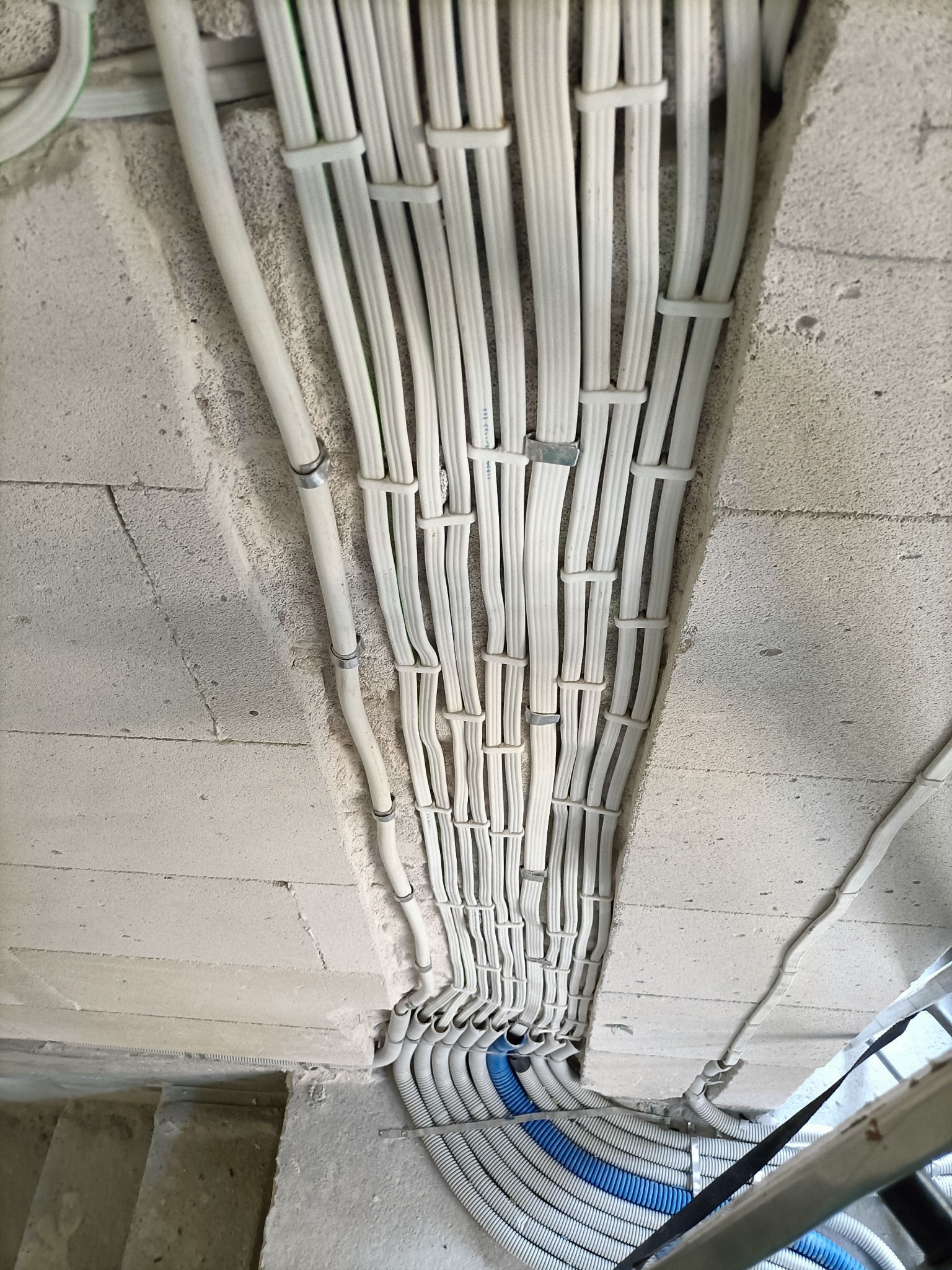 Równolegle ułożone białe kable elektryczne przymocowane do surowego, betonowego sufitu, przechodzące w niebiesko-białe peszle w pobliżu schodów.