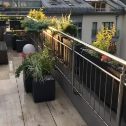 Rośliny w donicach na balkonie z drewnopodobnymi płytkami podłogowymi i metalową balustradą, widok na dachy budynków w tle.