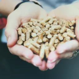 Dłonie trzymające garść jasnych, drewnianych pelletów opałowych, widoczny pierścionek na palcu, w tle zarys czerwonego kwiatu.