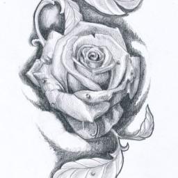 GARDEN ROSE - Montaż ogrodzenia Szczecin