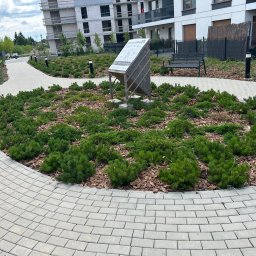 Sprzątanie biur Bydgoszcz 3