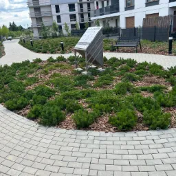 Okrągły klomb z iglakami i korą otoczony brukowaną ścieżką w nowym osiedlu, z tablicą informacyjną i ławką w tle, w słoneczny dzień.