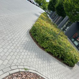 Sprzątanie biur Bydgoszcz 2