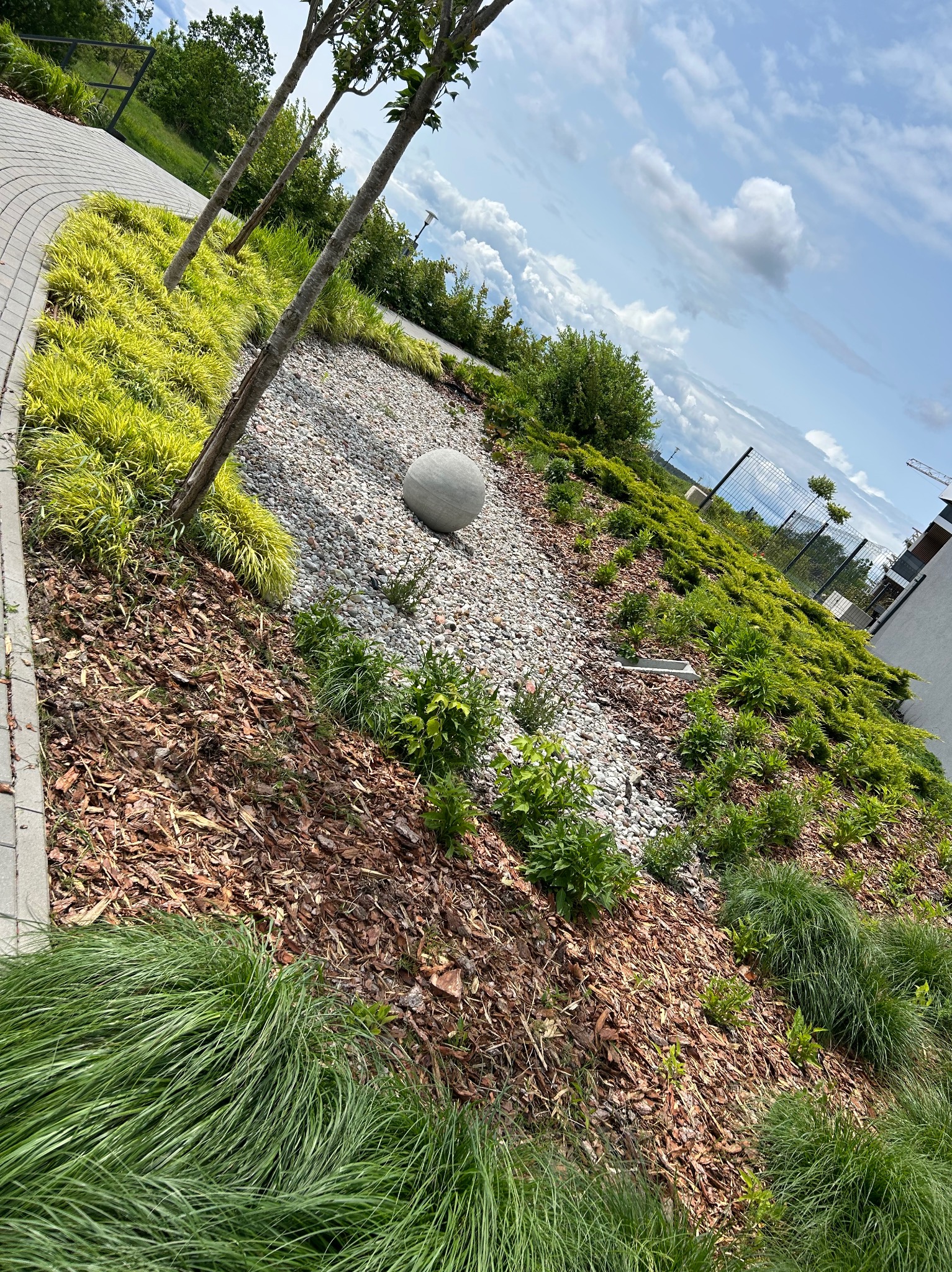 Aranżacja ogrodu ze ścieżką, ozdobnymi trawami, kamieniami i kulą. Kora rozsypana na rabatach. Widok na błękitne niebo z chmurami.