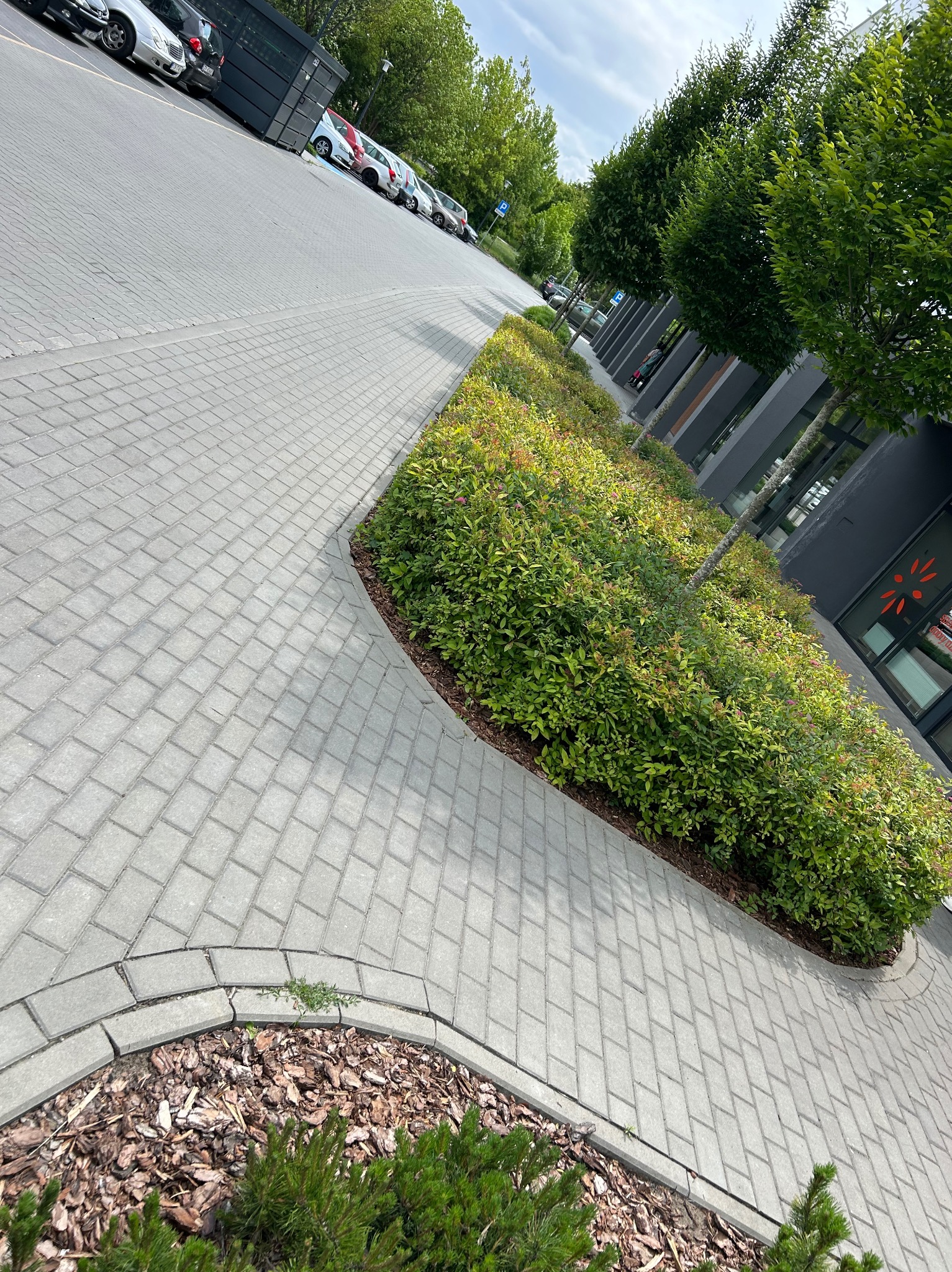 Ułożona kostka brukowa tworząca ścieżkę, obok zadbana zieleń z krzewami i drzewami, na tle budynek z szarymi elementami i zaparkowane samochody.