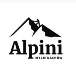 Alpini - Usługi Transportowe Bielsko