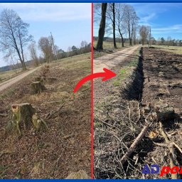 Adam Koziatek ADPOL USŁUGI REMONTOWO-BUDOWLANO-DEKARSKIE - Zdjęcie 'przed i po' wycinki drzew wzdłuż drogi polnej. Po lewej stronie pnie drzew, po prawej wyrównany teren z pozostałościami po wycince i droga.