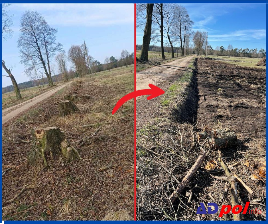 Zdjęcie 'przed i po' wycinki drzew wzdłuż drogi polnej. Po lewej stronie pnie drzew, po prawej wyrównany teren z pozostałościami po wycince i droga.