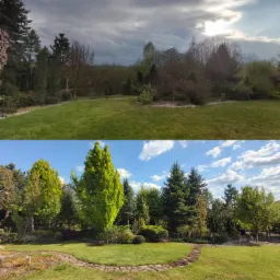 Porównanie ogrodu przed i po: górne zdjęcie przedstawia zaniedbany trawnik i drzewa bez liści pod pochmurnym niebem, dolne zdjęcie ukazuje wypielęgnowany trawnik, zielone drzewa i krzewy...