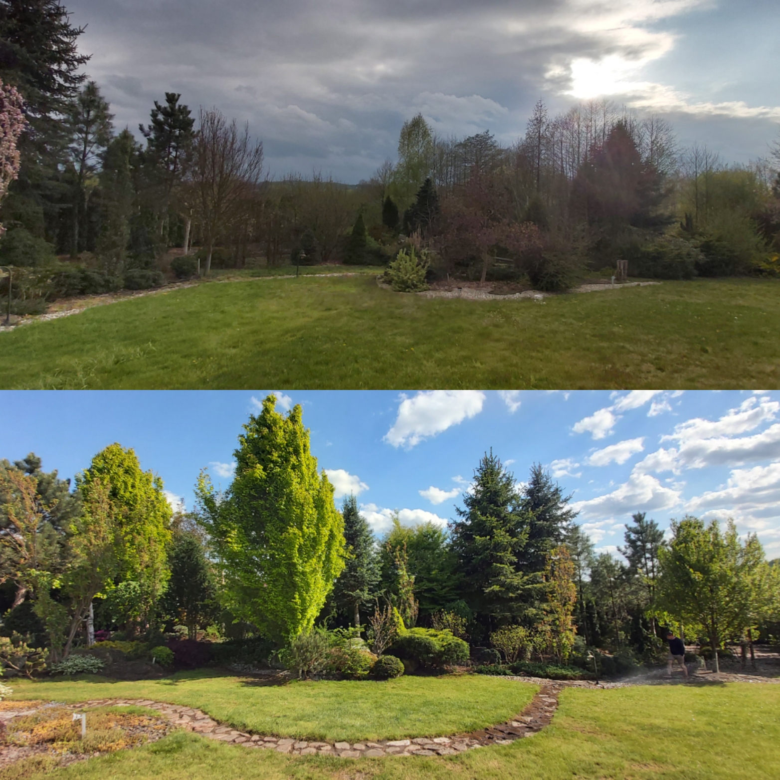 Porównanie ogrodu przed i po: górne zdjęcie przedstawia zaniedbany trawnik i drzewa bez liści pod pochmurnym niebem, dolne zdjęcie ukazuje wypielęgnowany trawnik, zielone drzewa i krzewy...