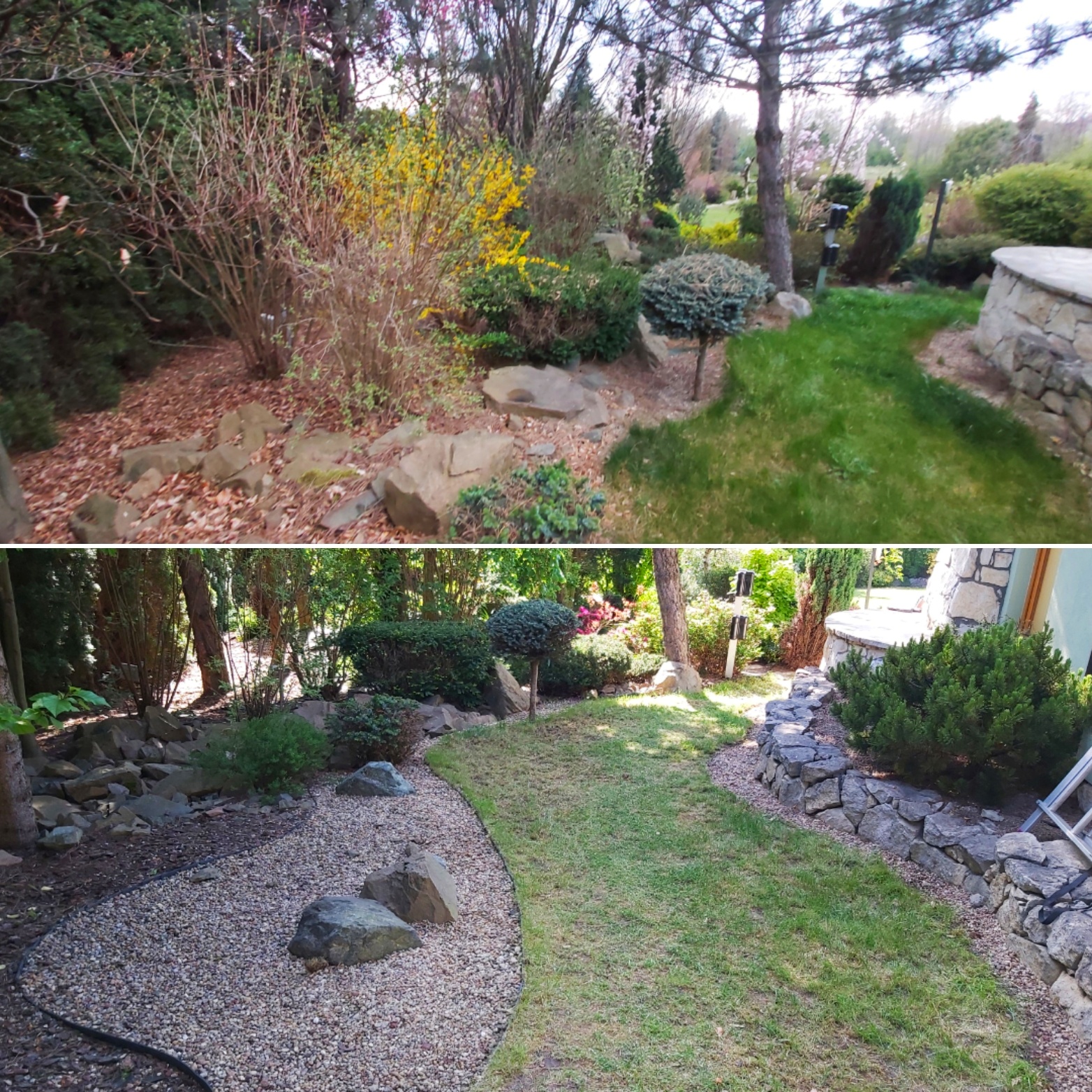Porównanie ogrodu przed i po: widoczna różnica w kondycji trawnika, usunięte liście i kamienie, uporządkowana przestrzeń z wysypanym żwirem.