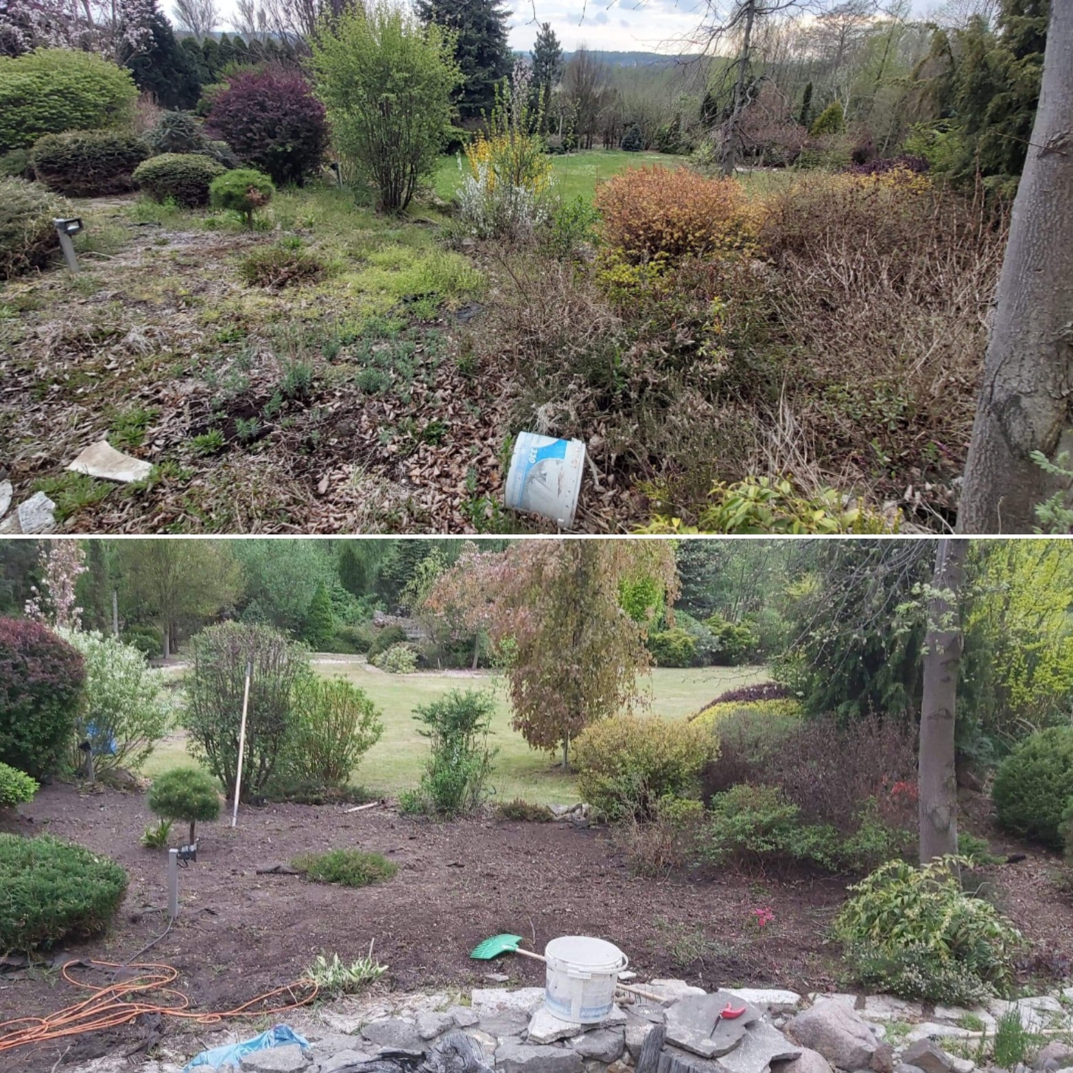 Zdjęcie 'przed i po' przedstawiające transformację ogrodu: zaniedbana przestrzeń z chwastami i suchymi liśćmi na górze, przekształcona w uporządkowany teren z nowymi nasadzeniami i świeżą korą...