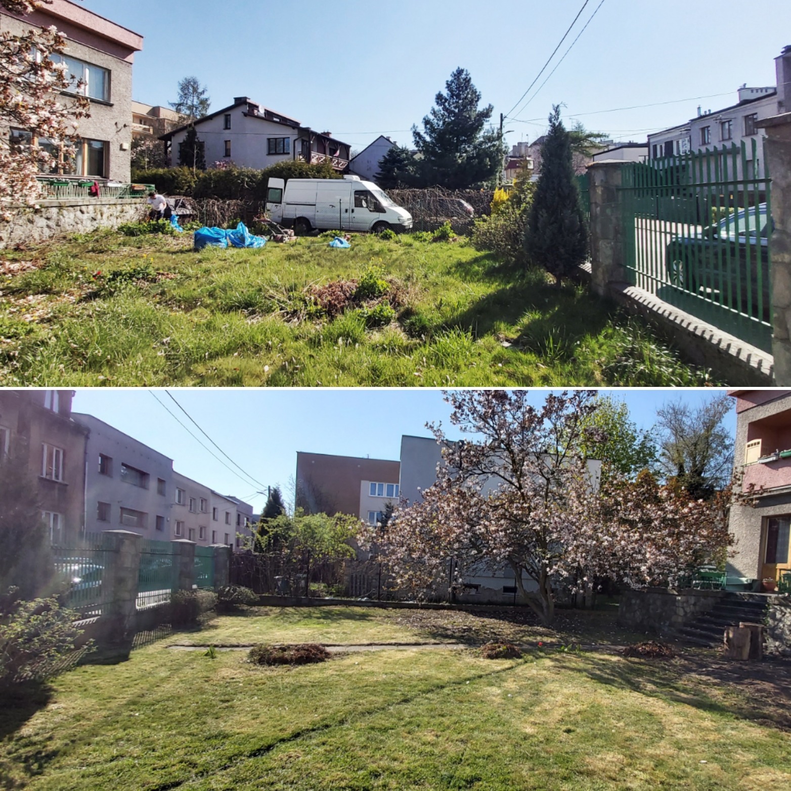 Porównanie terenu przed i po pracach: zarośnięty ogród z rozrzuconymi foliami i sprzętem ogrodniczym kontra wypielęgnowany trawnik z kwitnącym drzewem, widok z perspektywy ogrodzenia.
