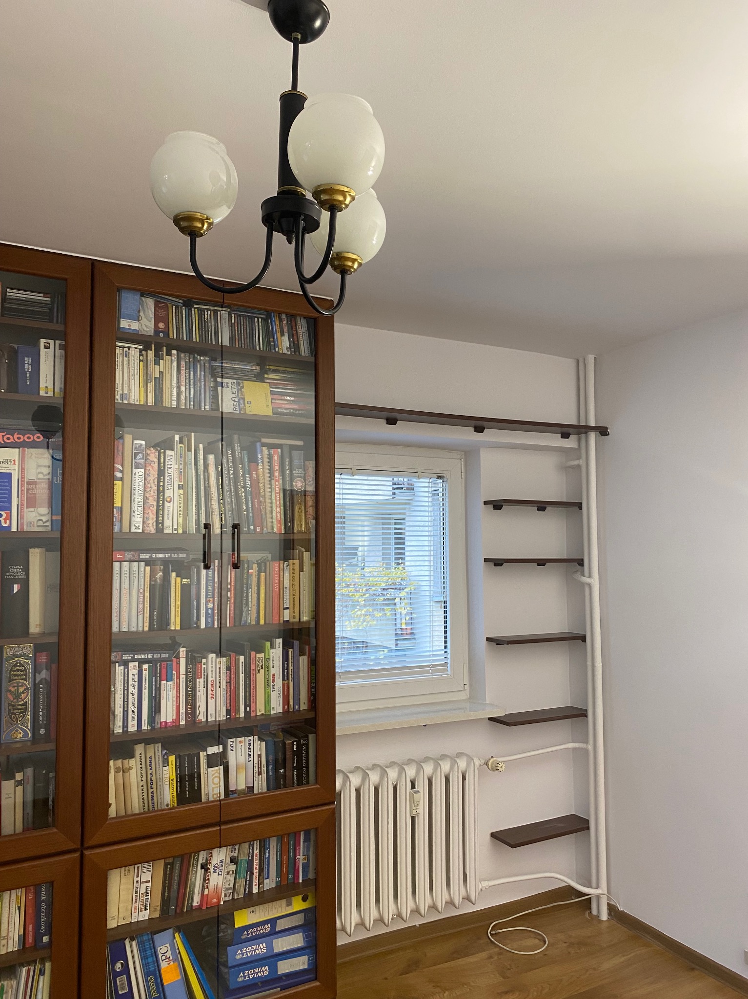 Regał z książkami z ciemnego drewna, wiszące półki na ścianie i biały grzejnik pod oknem. Wnętrze pokoju oświetla lampa sufitowa z kulistymi kloszami.