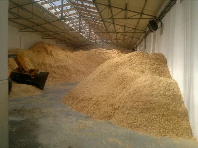 trocina mokra sosnowa czysta mp