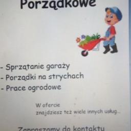 Artpol - Wycinka Drzew Ruda Śląska