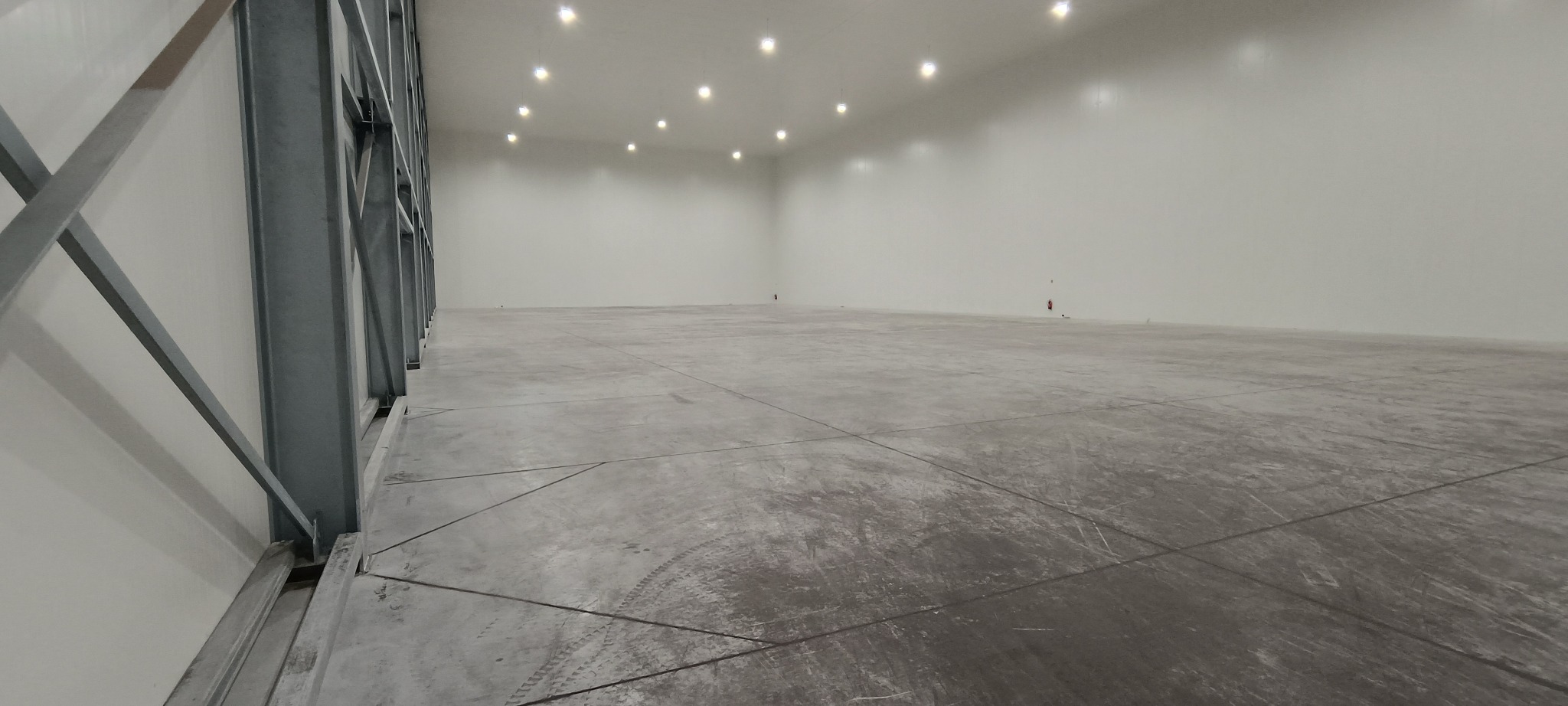 Pusta hala magazynowa z betonową podłogą, oświetlona szeregiem lamp sufitowych, widoczna konstrukcja stalowa przy ścianie.