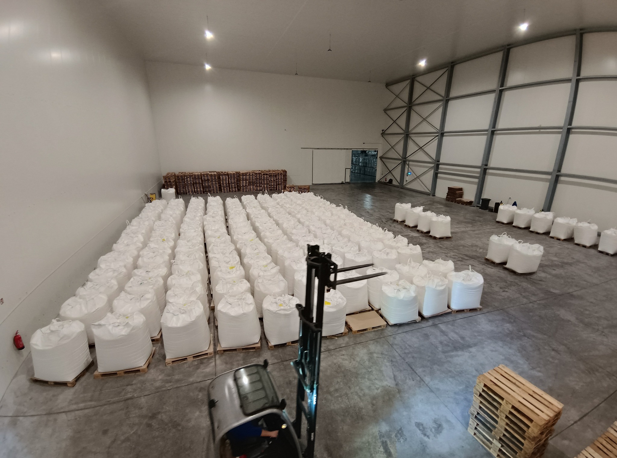 Wnętrze magazynu z rzędami białych worków na paletach, widok z kabiny wózka widłowego, metalowa konstrukcja dachu.