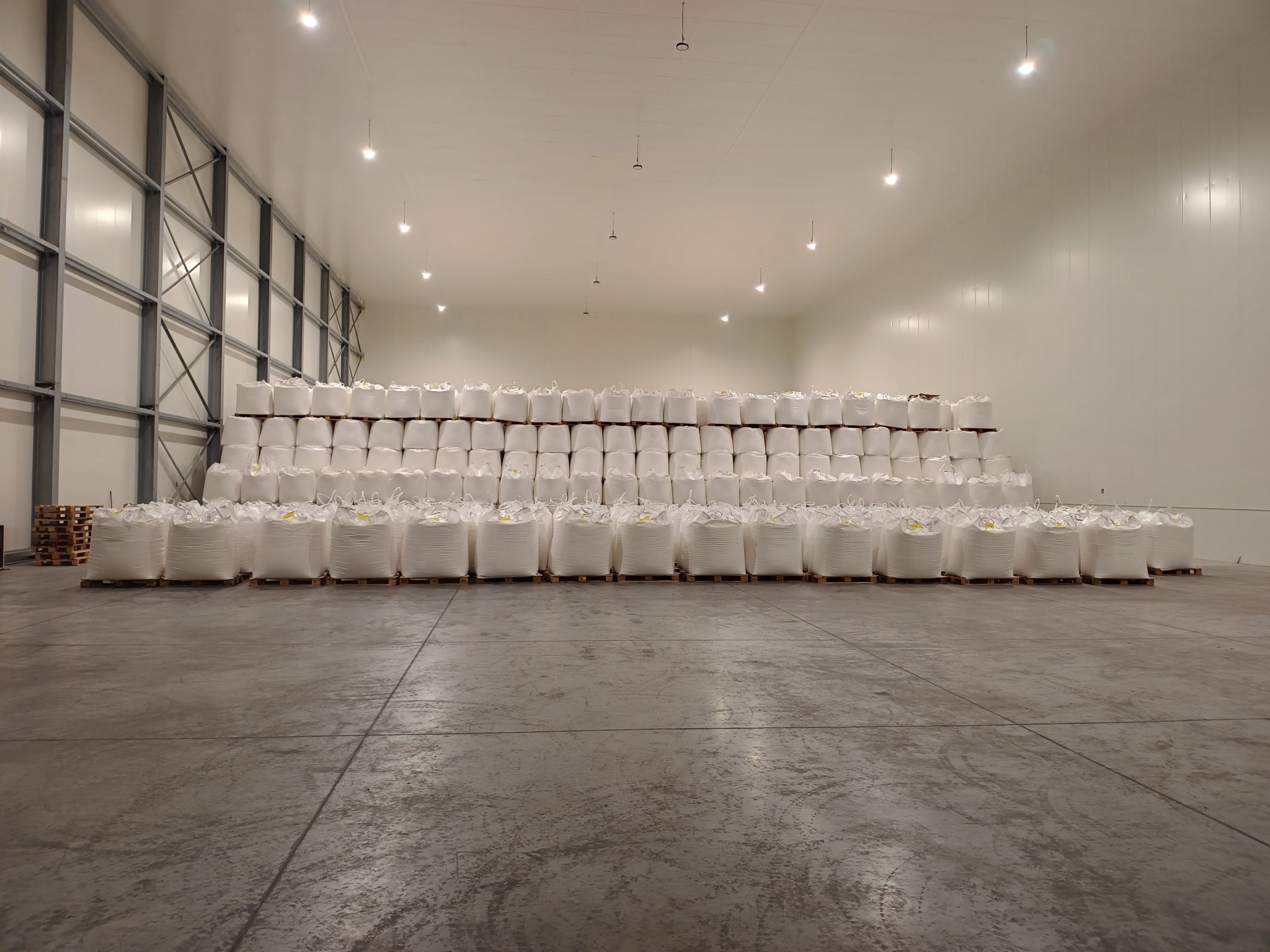 Wnętrze magazynu wypełnione rzędami białych worków ułożonych na paletach, oświetlone równomiernym, jasnym światłem.