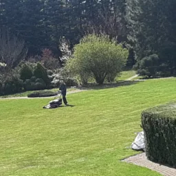 Pracownik w zielonym kombinezonie kosiarka spalinową rozległy trawnik w Pruszkowie, wśród ozdobnych krzewów i drzew.