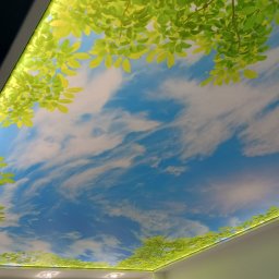 BUDiREM Darek Polaczek - Sufit napinany z motywem nieba i liści w Dubiecku, podświetlony punktowymi lampami, tworzący iluzję otwartej przestrzeni.