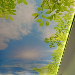 BUDiREM Darek Polaczek - Podświetlany sufit napinany z nadrukiem nieba i liści, widok z dołu z oświetleniem punktowym.