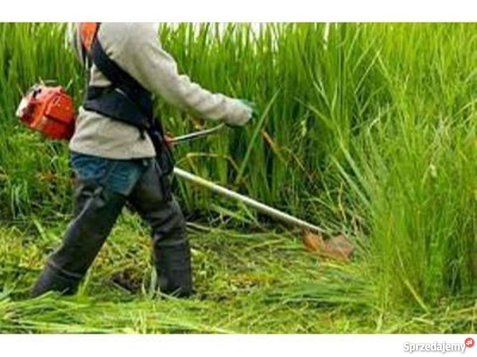Pracownik w stroju roboczym z kosą spalinową podczas wycinania wysokiej trawy na zarośniętej działce.