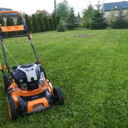 Pomarańczowo-czarna kosiarka spalinowa stoi na równo skoszonym, zielonym trawniku przed domem z tujami w tle.