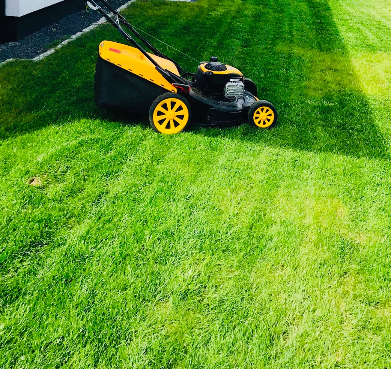 Żółto-czarna kosiarka spalinowa na tle świeżo skoszonego, intensywnie zielonego trawnika z widocznymi pasami.