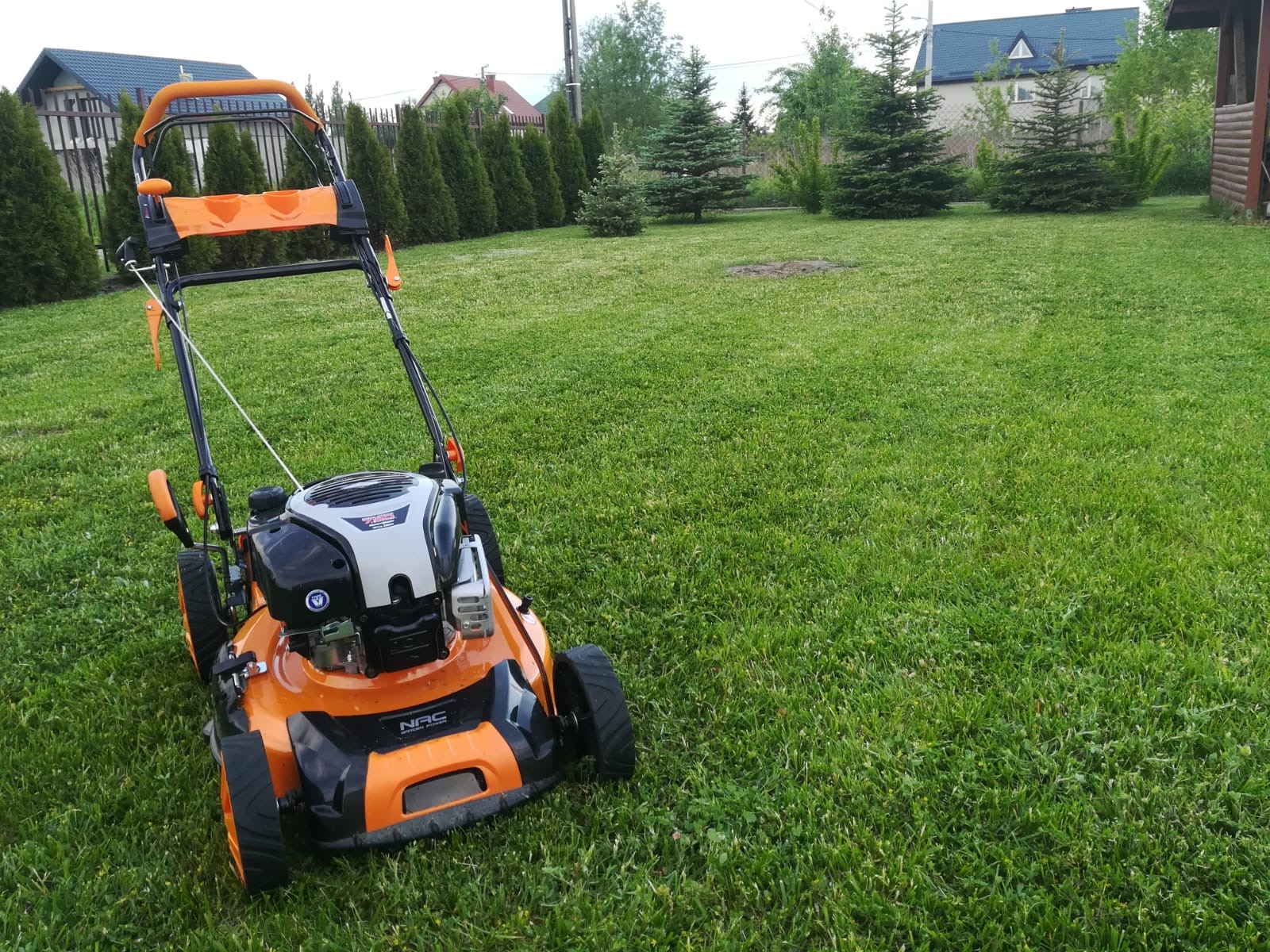Pomarańczowo-czarna kosiarka spalinowa stoi na równo skoszonym, zielonym trawniku przed domem z tujami w tle.
