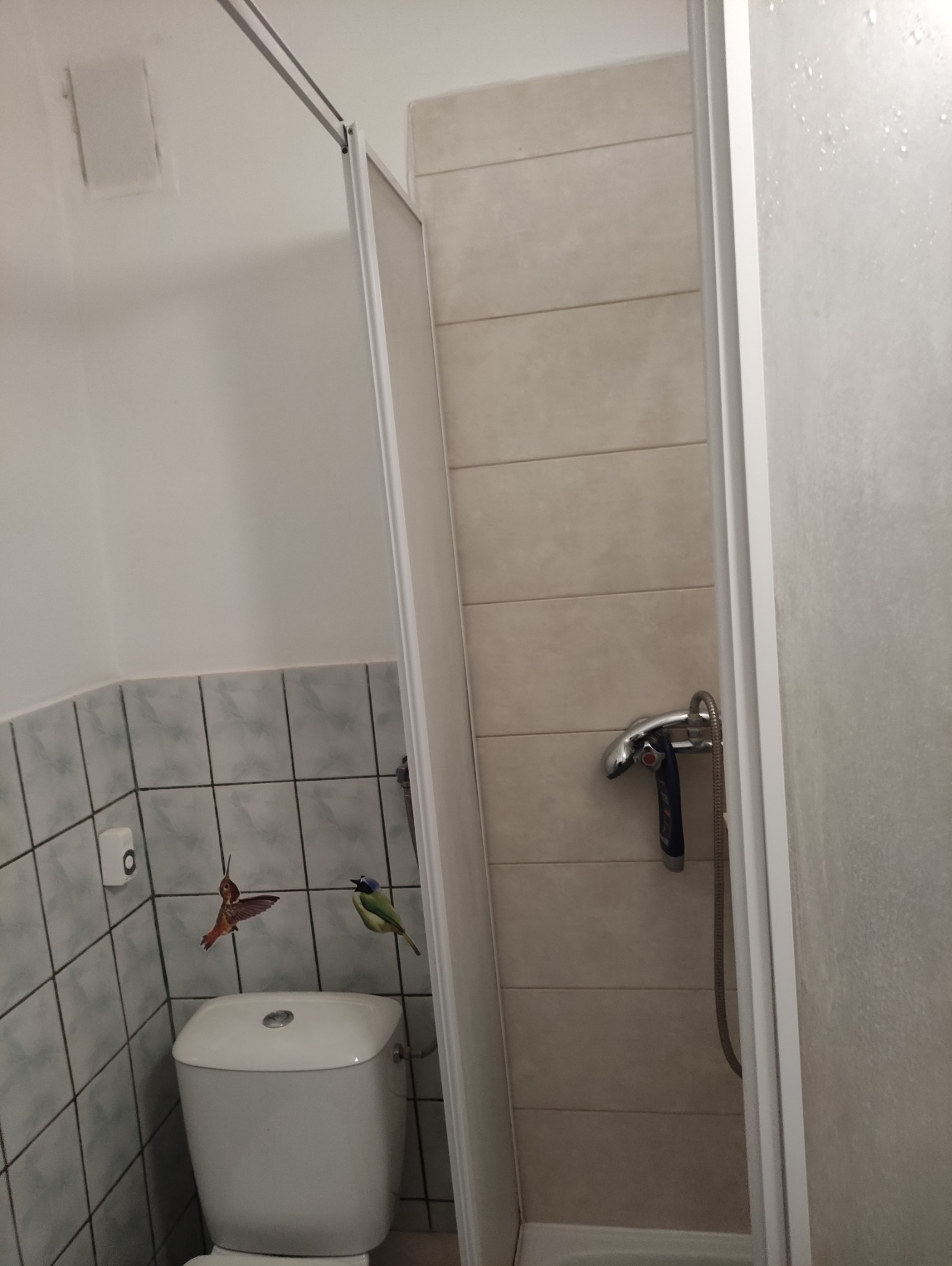 Wykończona łazienka z kabiną prysznicową i toaletą. Na ścianach płytki z motywem ptaków. Widoczny chromowany zestaw prysznicowy.