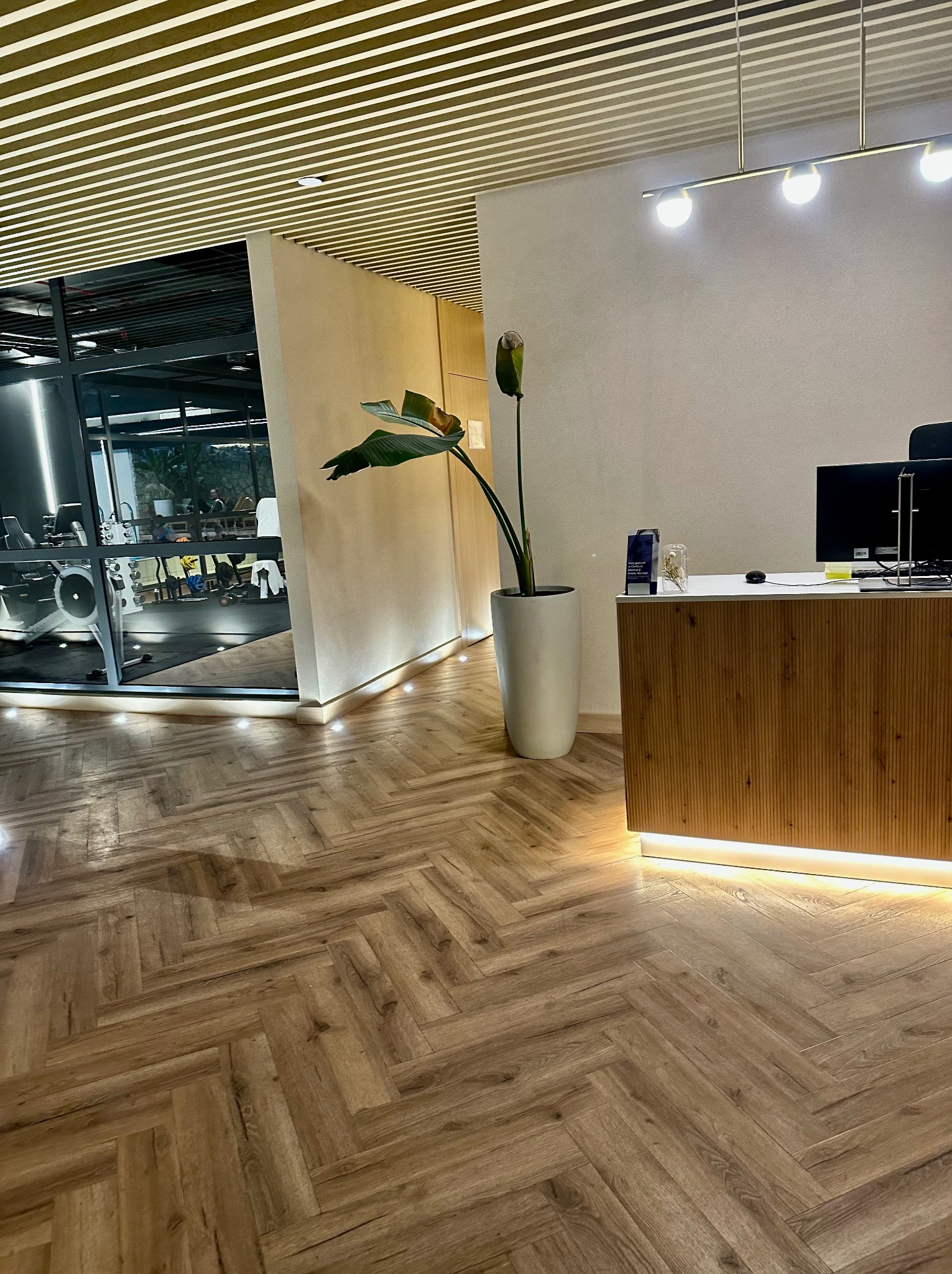 Recepcja siłowni z widokiem na salę ćwiczeń przez szklaną ścianę. Na pierwszym planie drewniana podłoga w jodełkę i roślina w donicy.