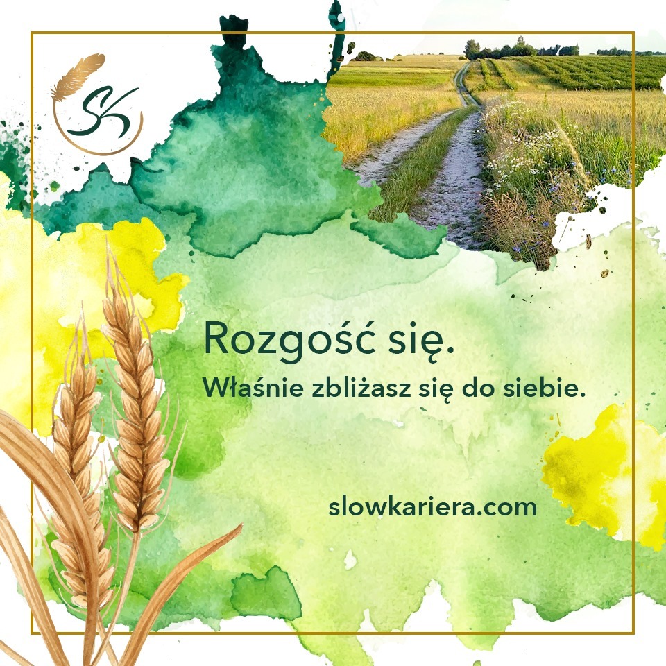 Rozgość się :)