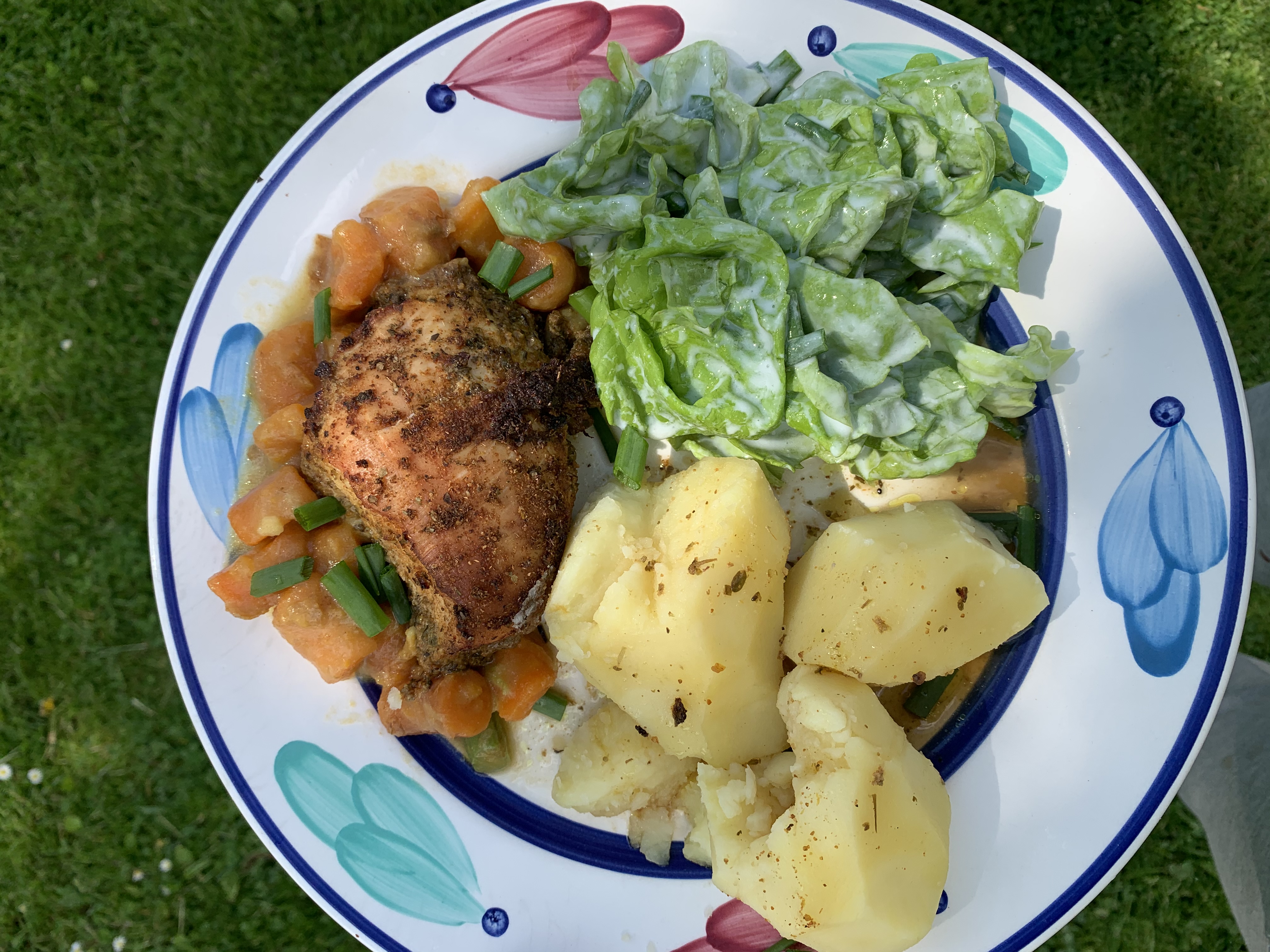 Porcja obiadowa na talerzu z kurczakiem przyprawionym ziołami, gotowanymi marchewkami z zielonym szczypiorkiem, ziemniakami i sałatą polaną sosem, na tle zielonej trawy.