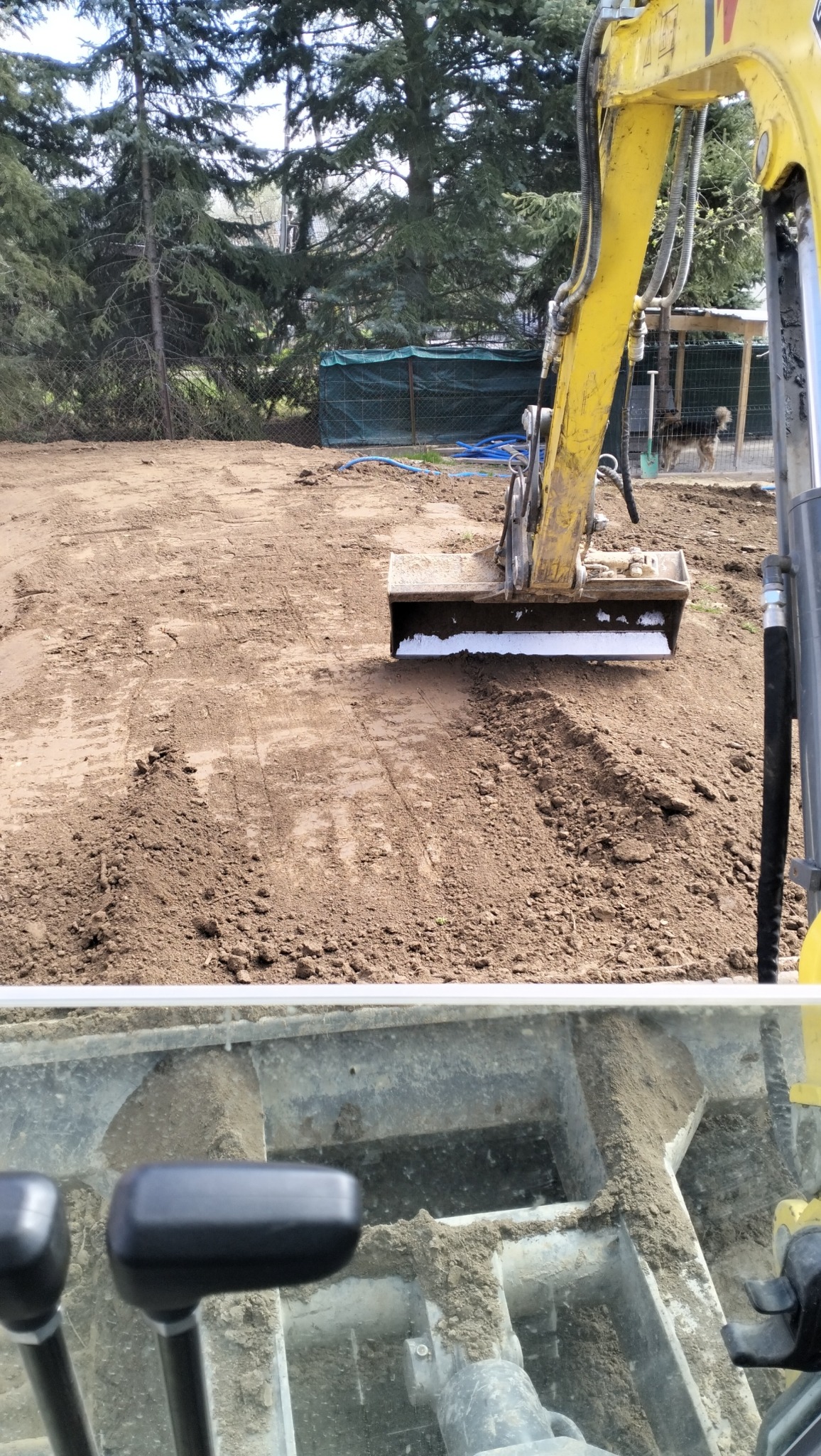 Żółta koparka wyrównuje teren działki, widoczne ślady opon na ubitej ziemi, w tle zielone drzewa i ogrodzenie z siatki.