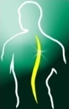 Grafika przedstawiająca sylwetkę człowieka z zaznaczonym kręgosłupem w kolorze żółtym na zielonym tle.